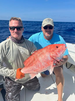 Red Snapper Fishing in Key West, Florida