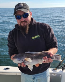 Tautog Fishing in Stone Harbor, New Jersey