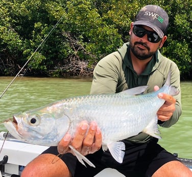 Tarpon fishing in Tavernier, Florida