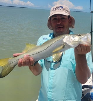 Snook Fishing in Islamorada, Florida