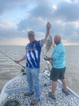 Black Drum, Hammerhead Shark, Speckled Trout / Spotted Seatrout fishing in Palacios, Texas
