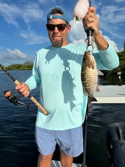 Fishing in Sarasota, Florida