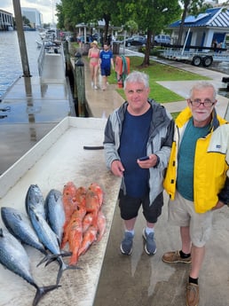 Little Tunny / False Albacore fishing in Fort Lauderdale, Florida