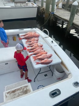 Fishing in Gulf Shores, Alabama