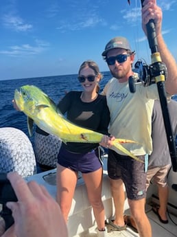 Mahi Mahi / Dorado Fishing in Pompano Beach, Florida