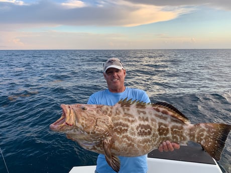 Mahi Mahi / Dorado, Red Snapper fishing in Key Largo, Florida