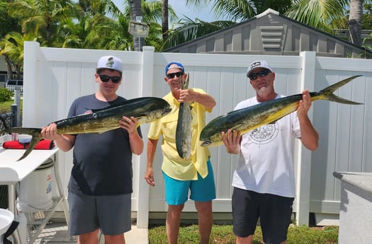 Mahi Mahi Fishing in Key Largo, Florida