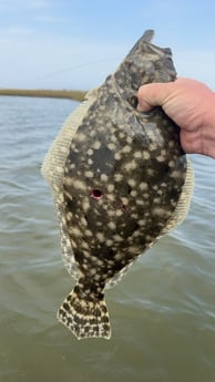 Fishing in Matagorda, Texas