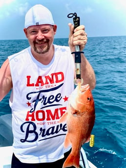 Red Snapper Fishing in Pensacola, Florida