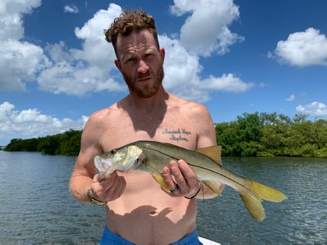 Largemouth Bass fishing in Clearwater, Florida