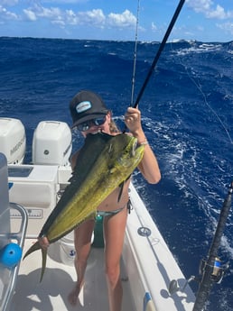 Mahi Mahi / Dorado fishing in Islamorada, Florida