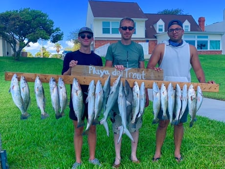 Blacktip Shark, Speckled Trout / Spotted Seatrout fishing in Corpus Christi, Texas