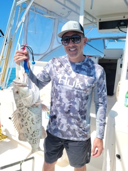 Red Snapper fishing in Clearwater, Florida