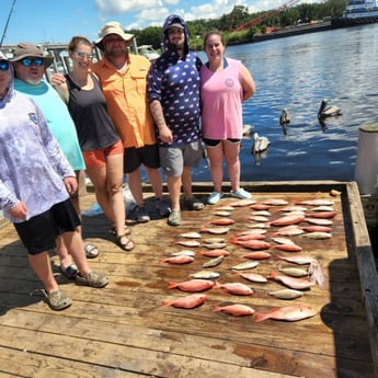 Mangrove Snapper, Red Snapper fishing in Pensacola, Florida