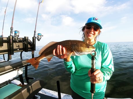 Redfish Fishing in Rio Hondo, Texas