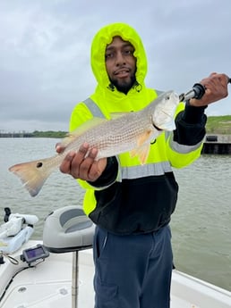 Redfish Fishing in Galveston, Texas