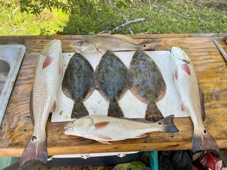 Redfish fishing in St. Augustine, Florida