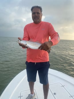 Speckled Trout Fishing in Galveston, Texas