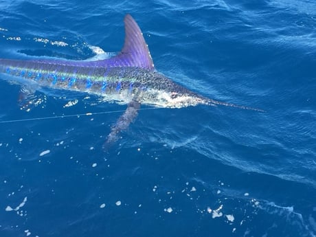 Fishing in Hampton Bays, New York