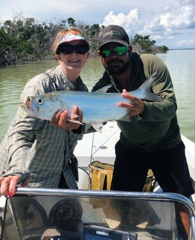 Tarpon fishing in Tavernier, Florida