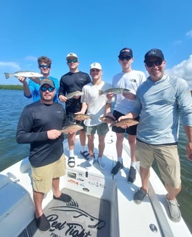 Snook fishing in Sarasota, Florida