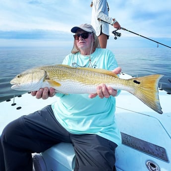 Redfish Fishing in Key West, Florida