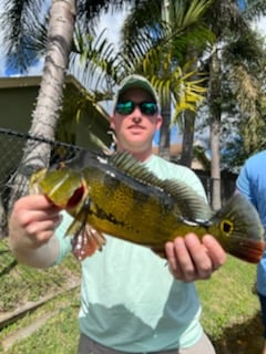 Peacock Bass fishing in Fort Lauderdale, Florida