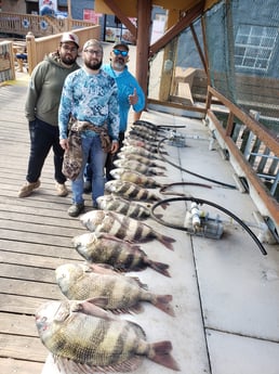 Redfish, Sheepshead fishing in Port Isabel, Texas