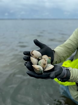 Fishing in Eastpoint, Florida