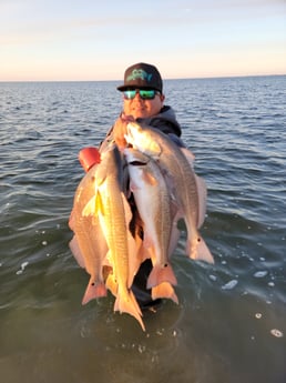 Redfish Fishing in Rio Hondo, Texas