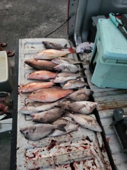 Fishing in Cedar Key, Florida