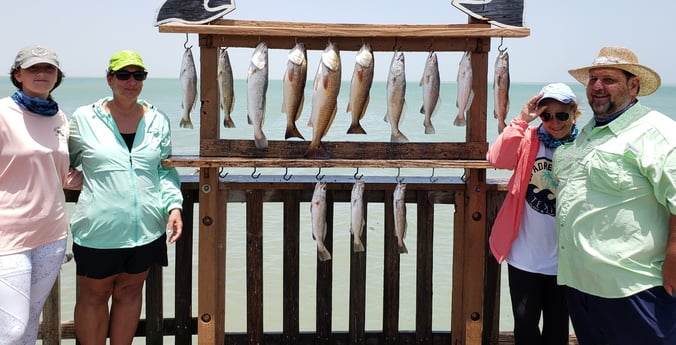 Redfish, Speckled Trout / Spotted Seatrout fishing in Port Isabel, Texas