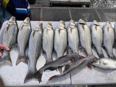 Fishing in Burnet, Texas