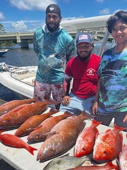 Amberjack, Mangrove Snapper, Red Snapper fishing in Pensacola, Florida