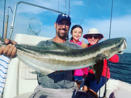 Cobia Fishing in Sarasota, Florida