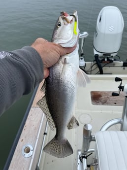 Fishing in Galveston, Texas