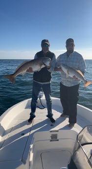 Redfish Fishing in Pensacola, Florida