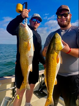 Redfish fishing in Galveston, Texas