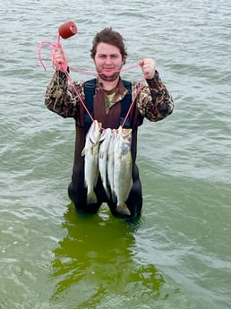 Speckled Trout Fishing in Corpus Christi, Texas