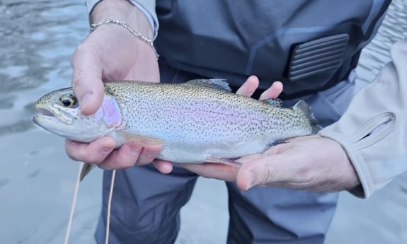 Fishing in Broken Bow, Oklahoma