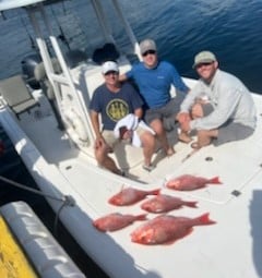 Red Snapper Fishing in Panama City, Florida