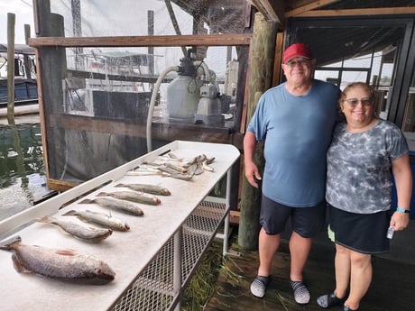 Redfish, Speckled Trout / Spotted Seatrout fishing in Crystal River, Florida