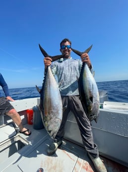 Blackfin Tuna Fishing in Key West, Florida