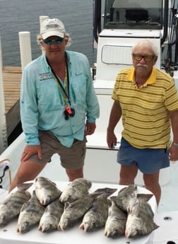 Black Drum Fishing in South Padre Island, Texas