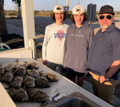 Sheepshead fishing in Galveston, Texas