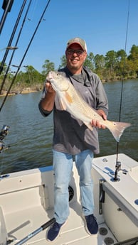 Redfish Fishing in Gulf Shores, Alabama