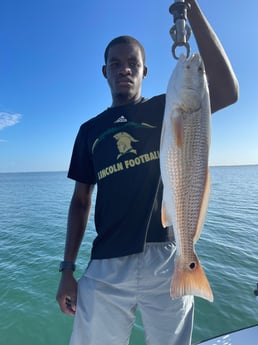 Redfish Fishing in Sarasota, Florida