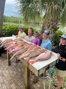 Red Grouper, Red Snapper fishing in Sarasota, Florida