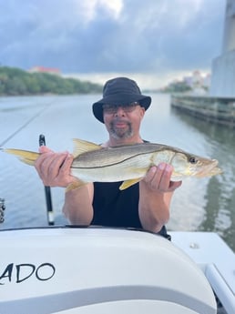 Snook fishing in Palm Coast, Florida