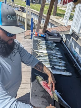 Spanish Mackerel fishing in Tampa, Florida